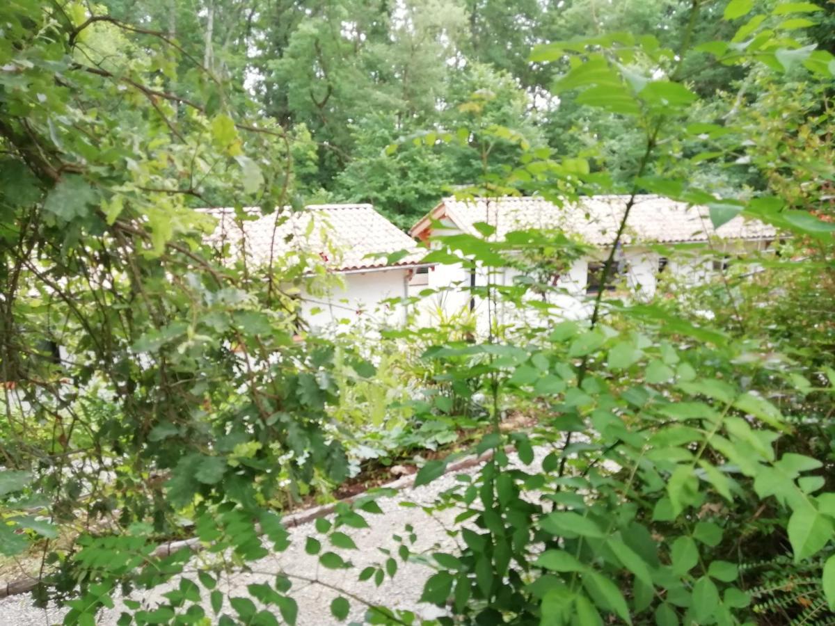 Pause Nature. Maison Ananda A 14 Kms De Toulouse Avec Parking Privatif Lapeyrouse-Fossat Bagian luar foto